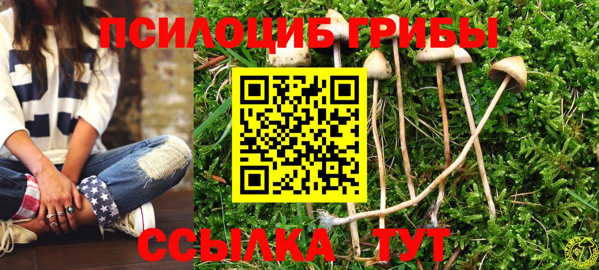 Галлюциногенные грибы Psilocybine cubensis  Галлюциногенные грибы мицелий  Вход с VPN  Семилуки 